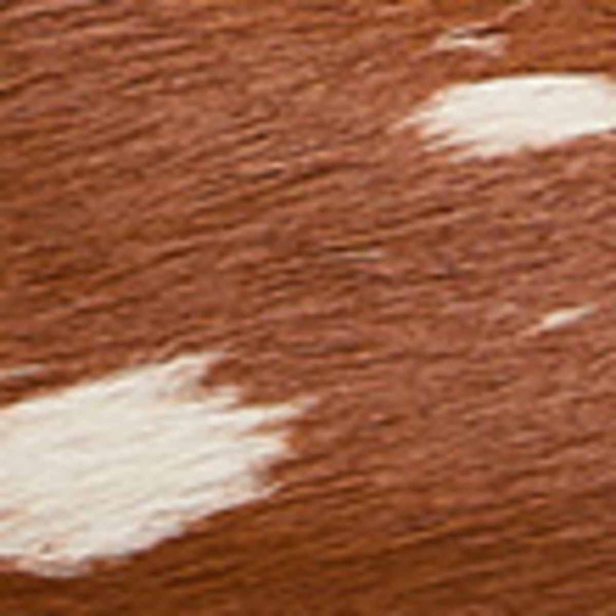 Women's Leather Hair On Animal Print Clogs - Brown | clogs | SAVINTARI